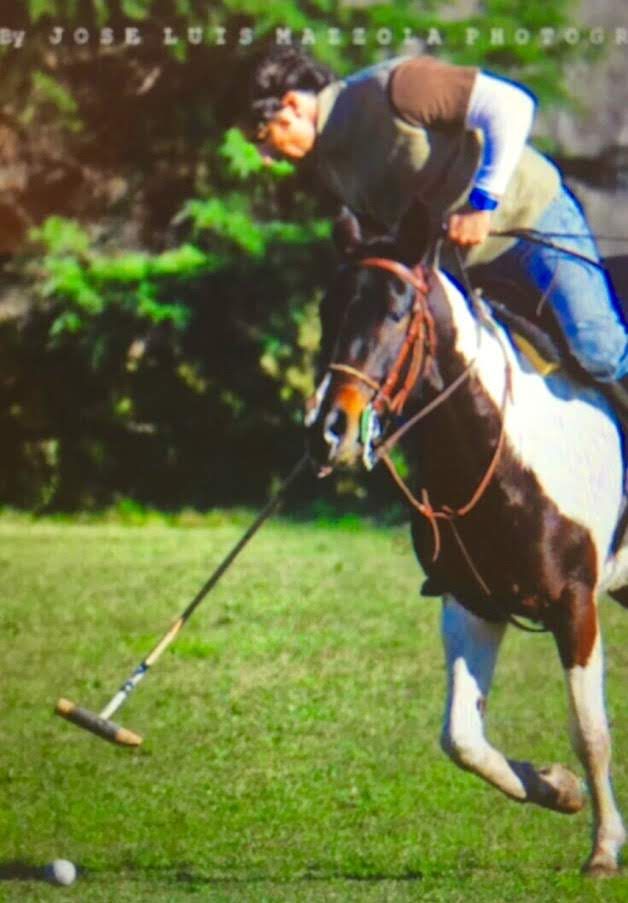Nelson Taffarel jugando al polo a caballo